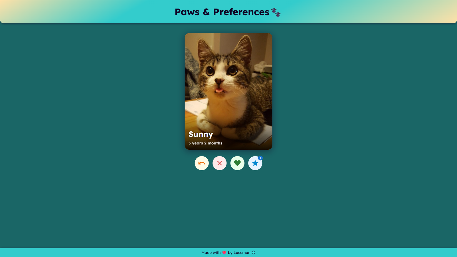 PawSwipe — still 3